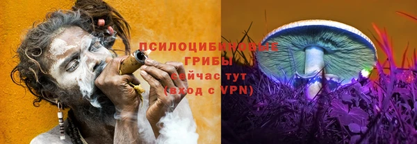 твердый Заволжье